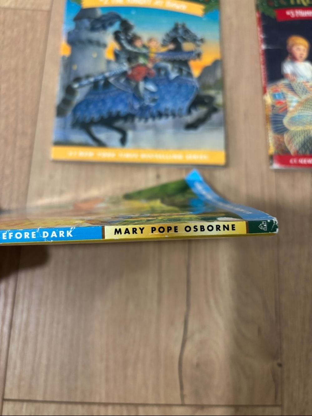 Magic Treehouse Books 1-3 - Picture 2 of 5